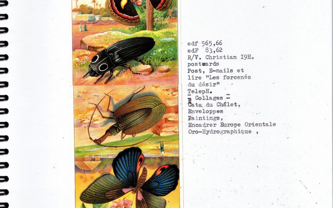 Extravaganza (suite)&collages